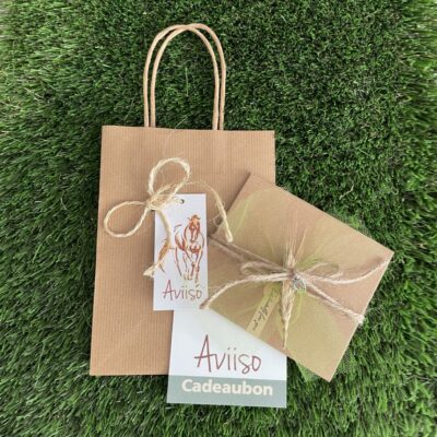 Cadeaubon Aviiso het cadeau voor een paardenliefhebber sieraden met paardenhaar